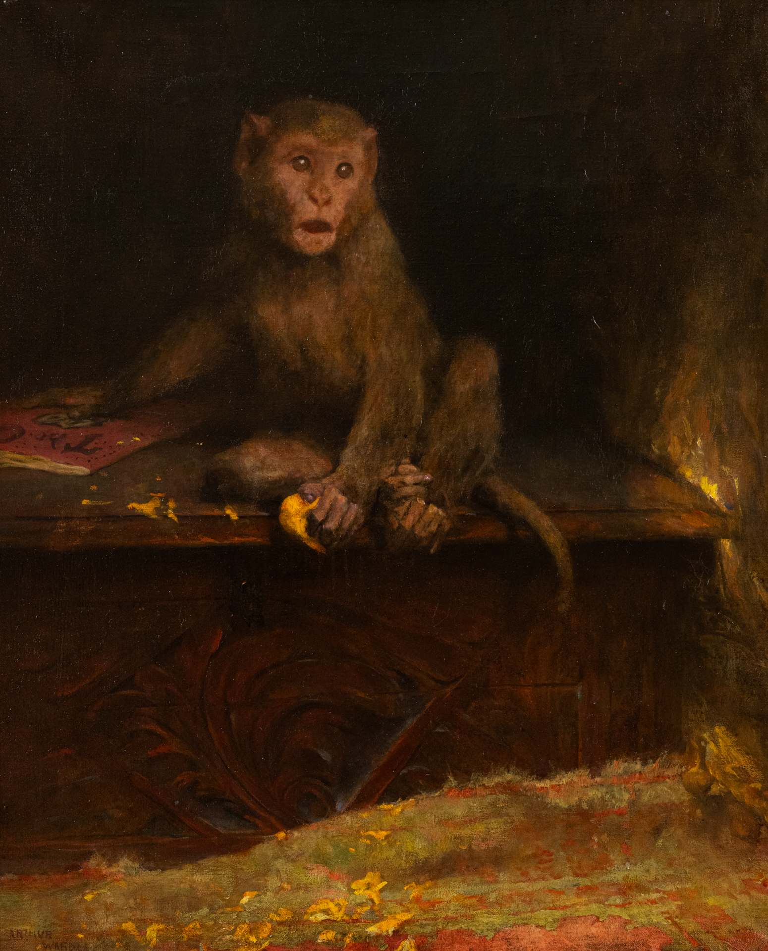 Arthur Wardle, Le singe